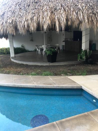 Palapa